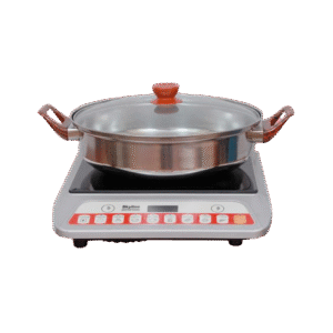 INDUCTION OVEN