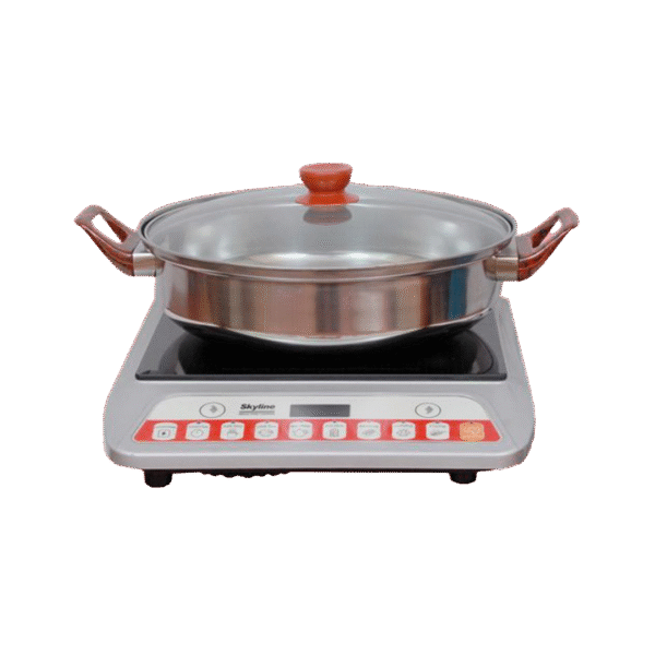 INDUCTION OVEN